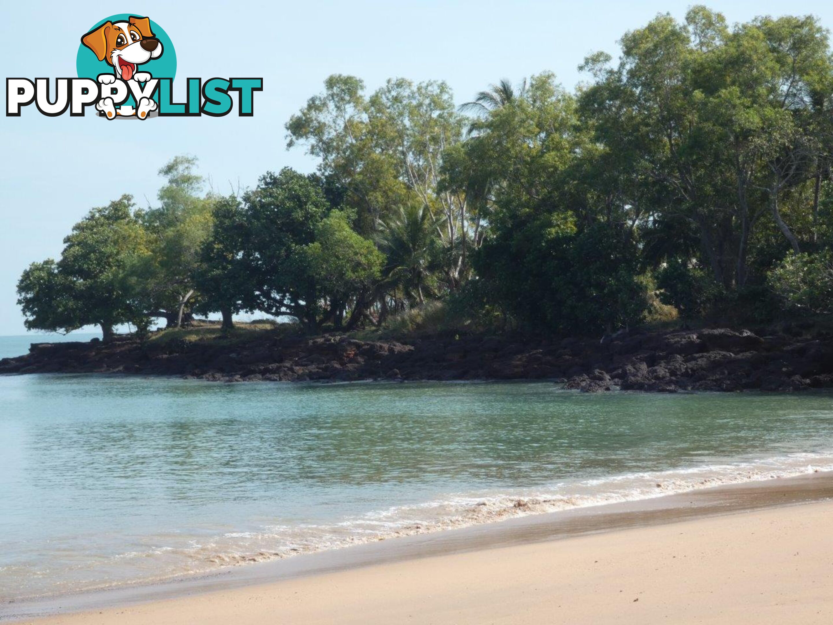 20 Myrmidon Circuit Dundee Beach NT 0840
