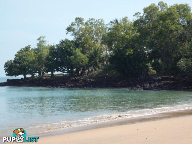 20 Myrmidon Circuit Dundee Beach NT 0840