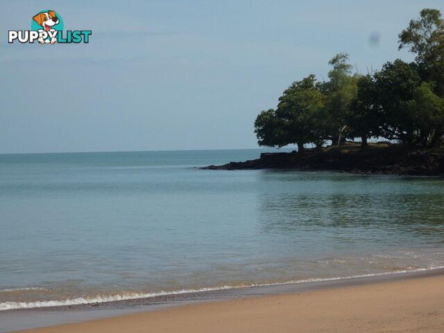 20 Myrmidon Circuit Dundee Beach NT 0840