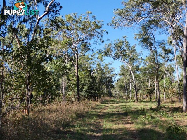 3423 125 Lepanto Dundee Beach NT 0840