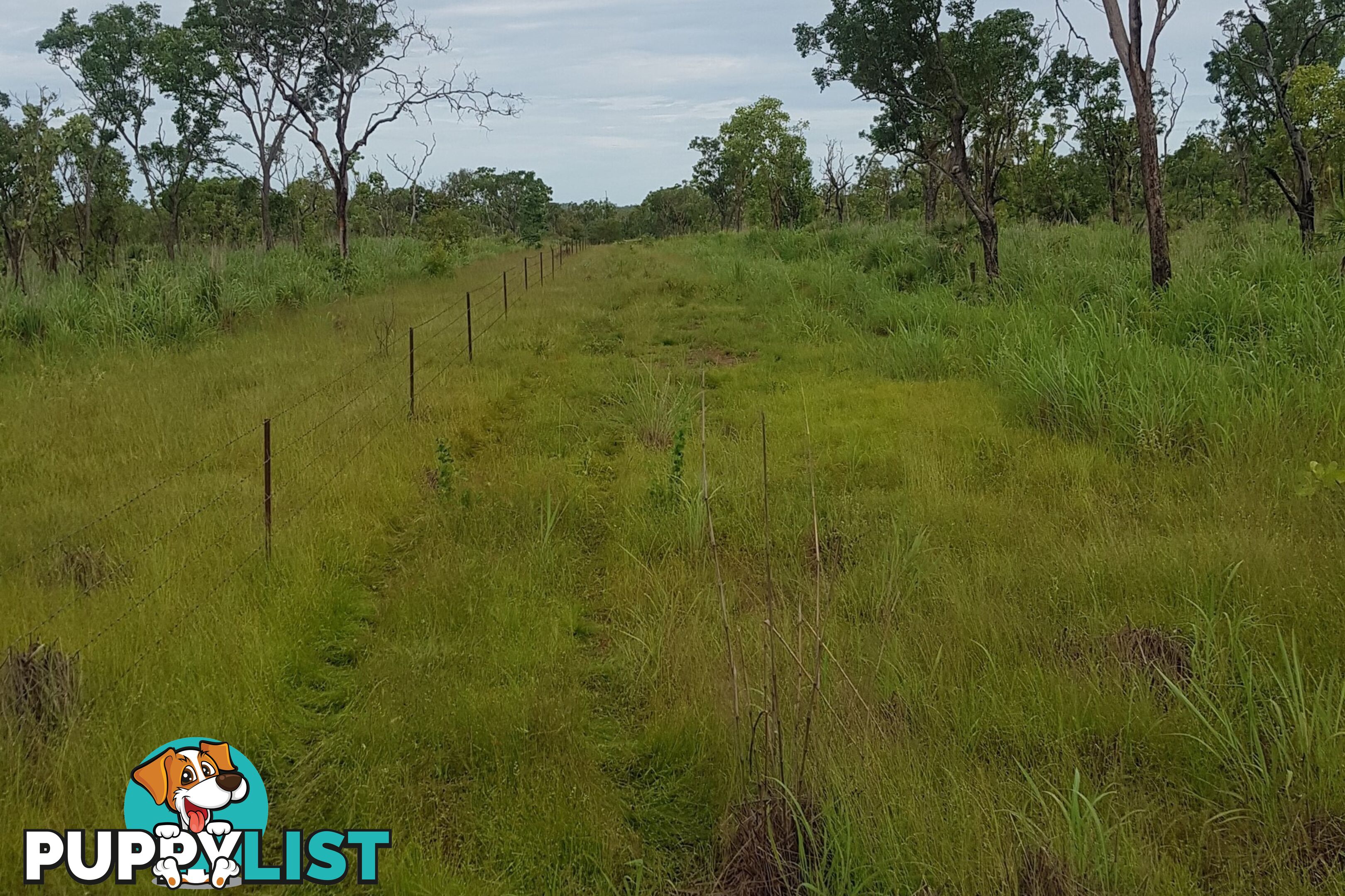 11 Little Road Eva Valley NT 0822