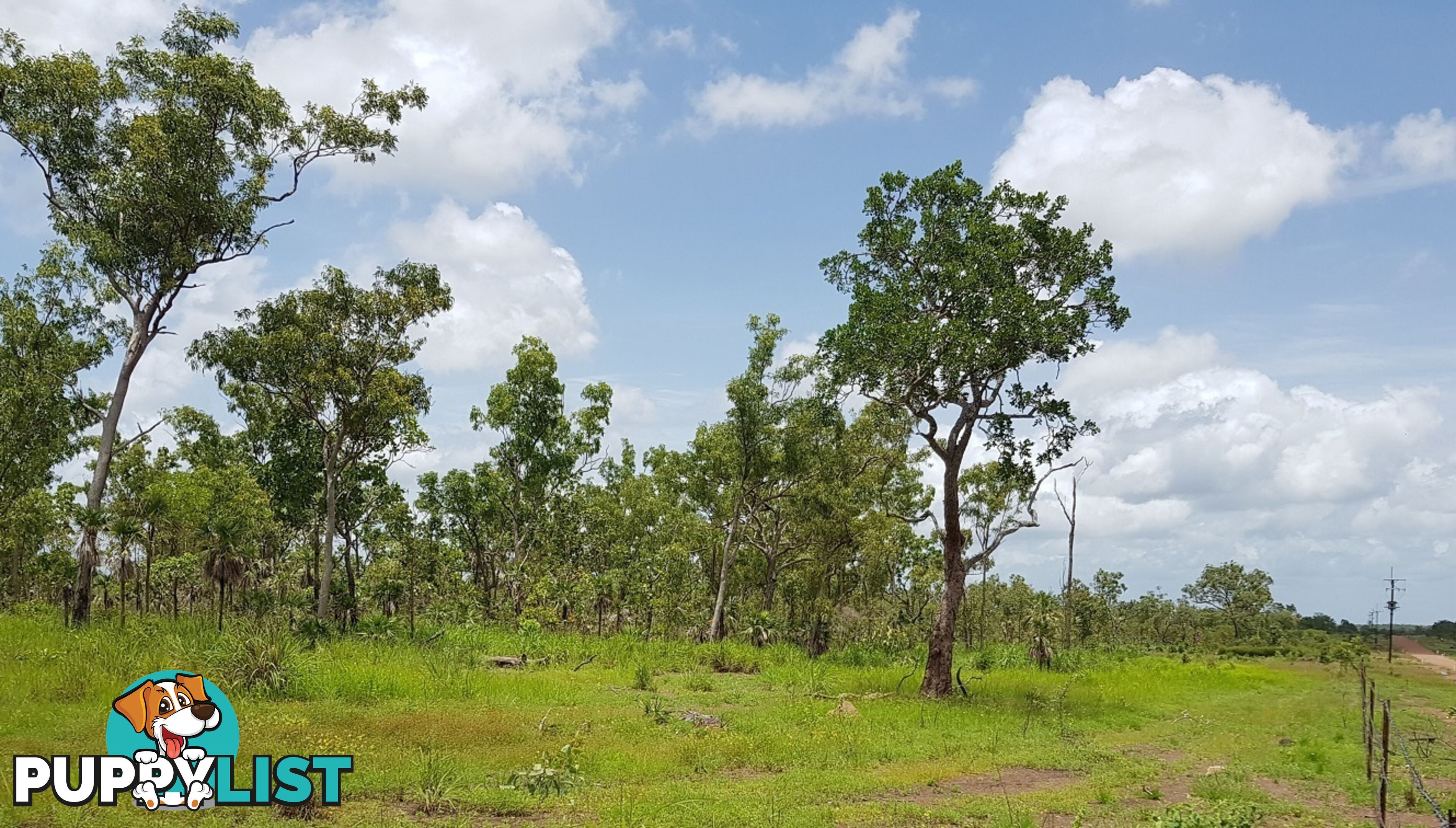 11 Little Road Eva Valley NT 0822