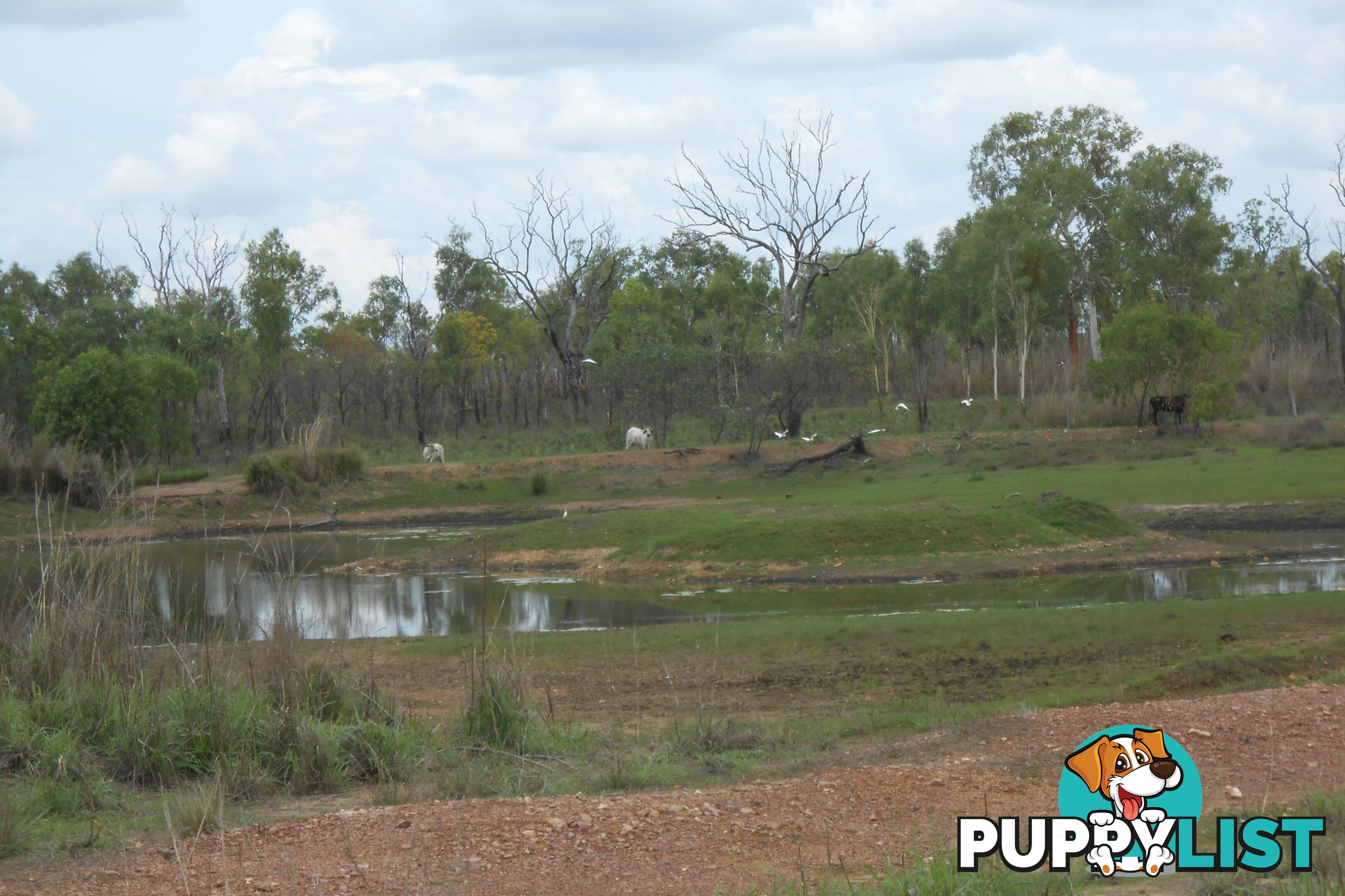 11 Little Road Eva Valley NT 0822