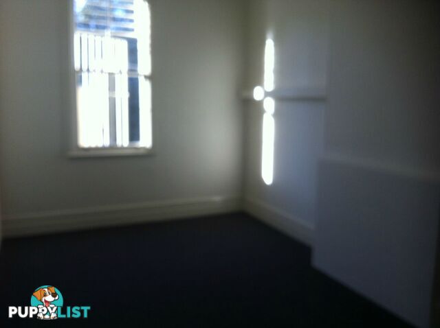 Unit 1 427 Cleveland Street Surry Hills NSW 2010