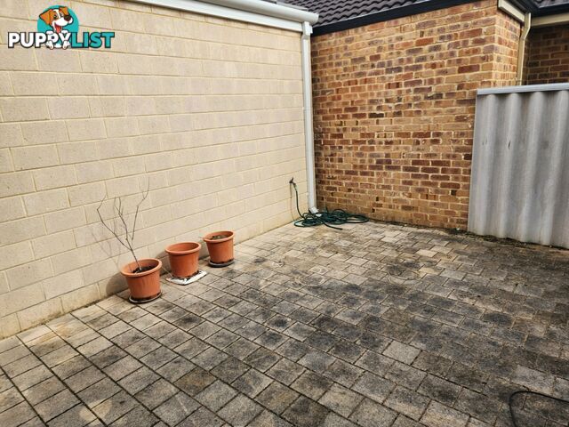 35A Ticehurts Way BALGA WA 6061
