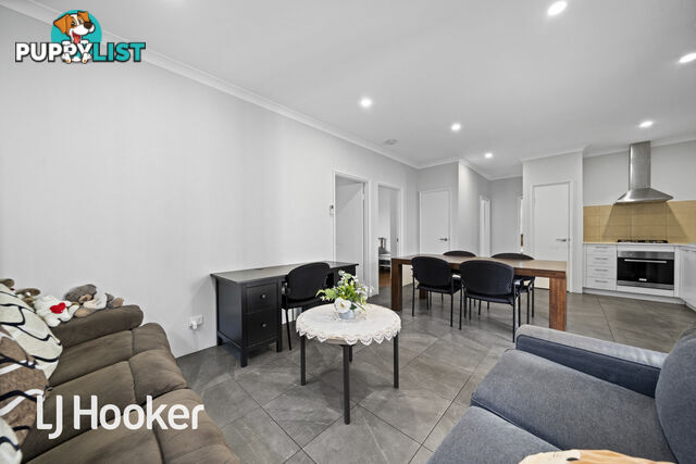 46 Prince Street QUEENS PARK WA 6107