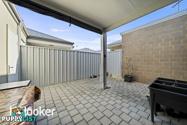 46 Prince Street QUEENS PARK WA 6107