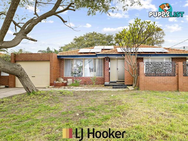 288 Marangaroo Dr KOONDOOLA WA 6064