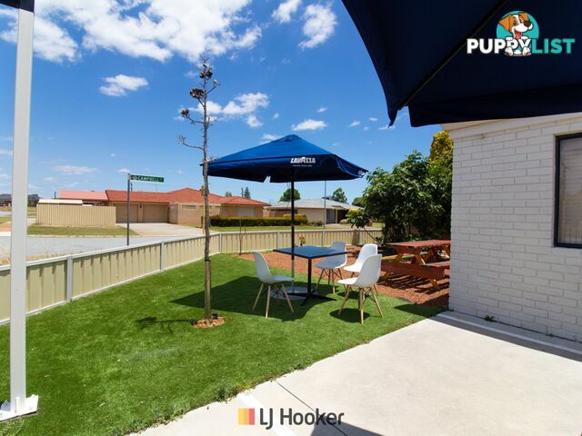 1/2 Campbell Court NORANDA WA 6062