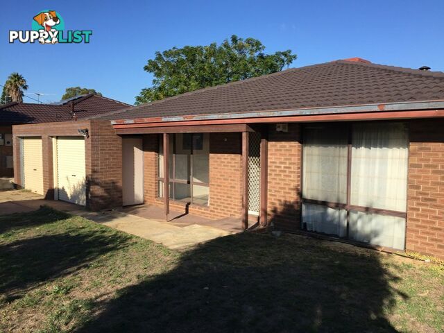 49 Cunningham Loop MIRRABOOKA WA 6061