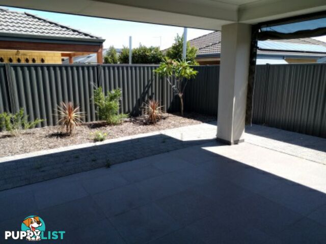 46 Alnwick Turn LANDSDALE WA 6065