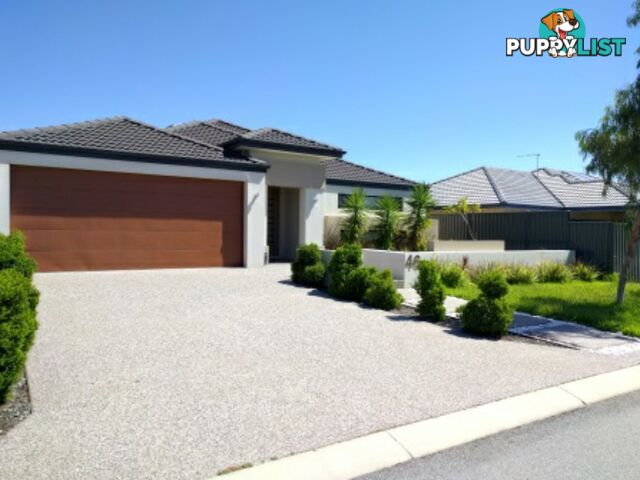 46 Alnwick Turn LANDSDALE WA 6065