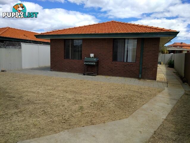 684A Karrinyup Road STIRLING WA 6021