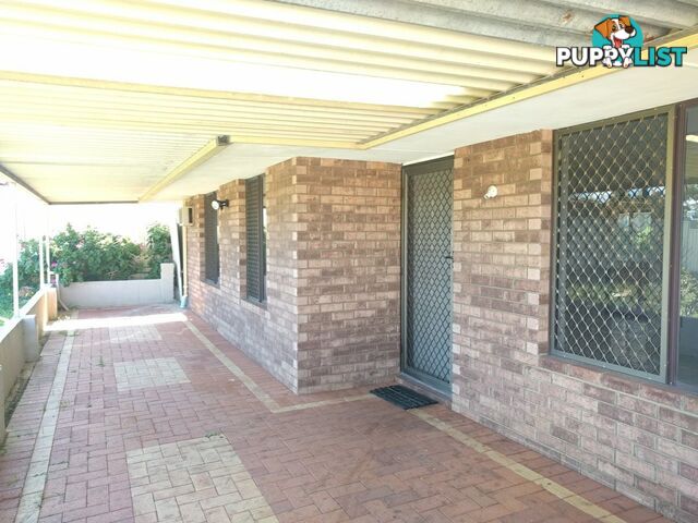 67 Gossamer Avenue MIRRABOOKA WA 6061