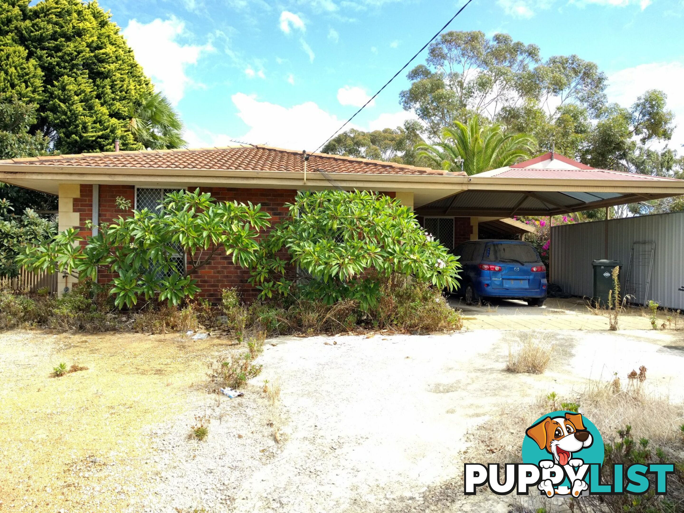 19 Moorhead Way KOONDOOLA WA 6064