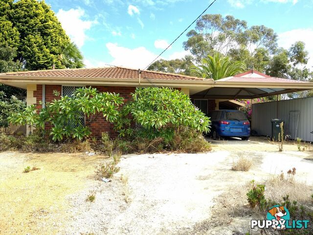 19 Moorhead Way KOONDOOLA WA 6064