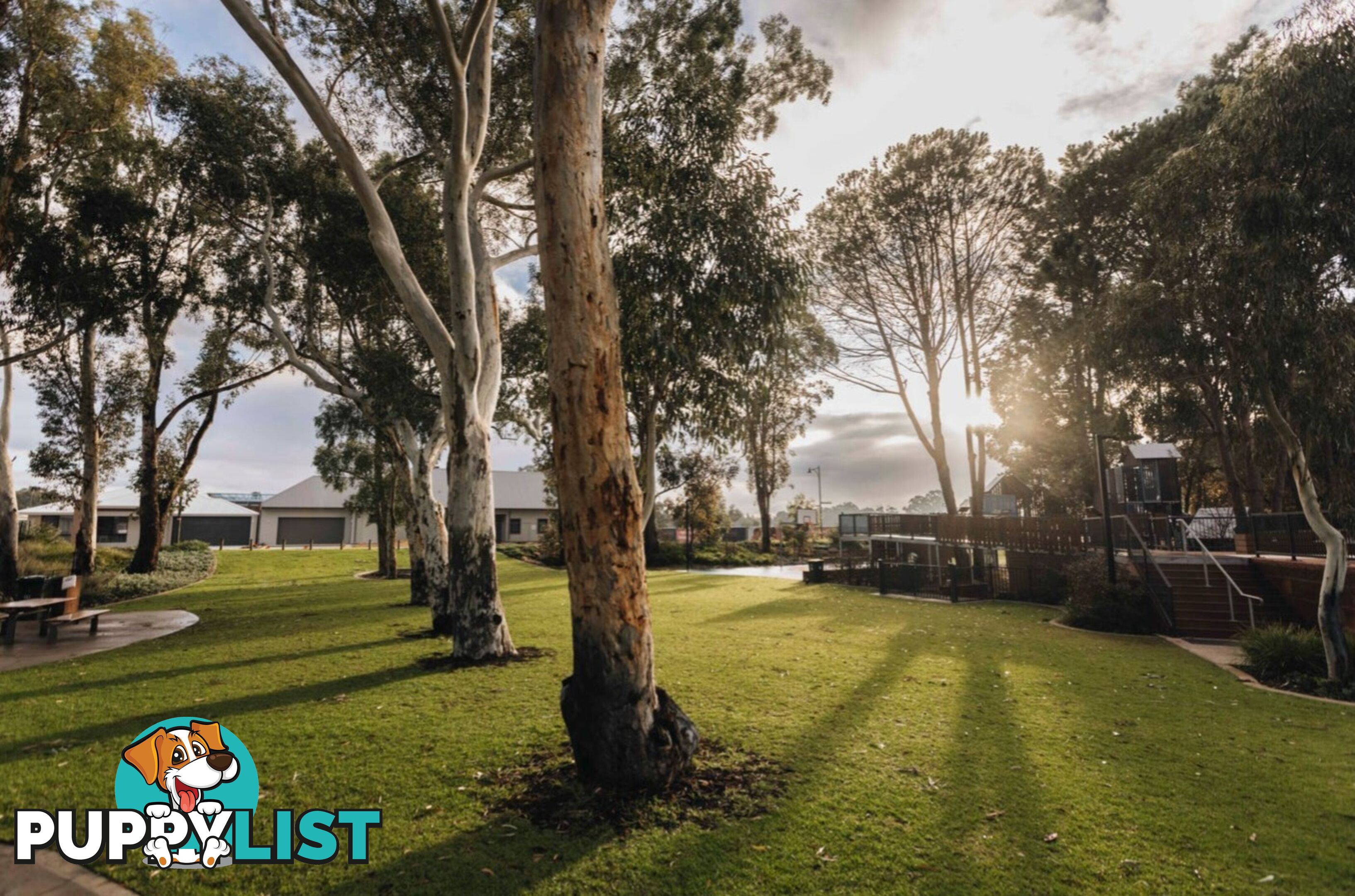 24 Trinity Road HENLEY BROOK WA 6055