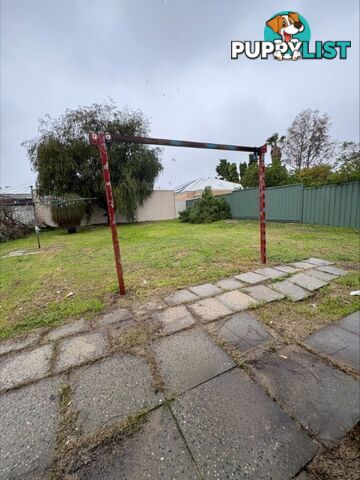 20 Newport Way BALGA WA 6061