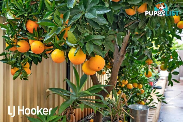 15 Crimea Street MORLEY WA 6062
