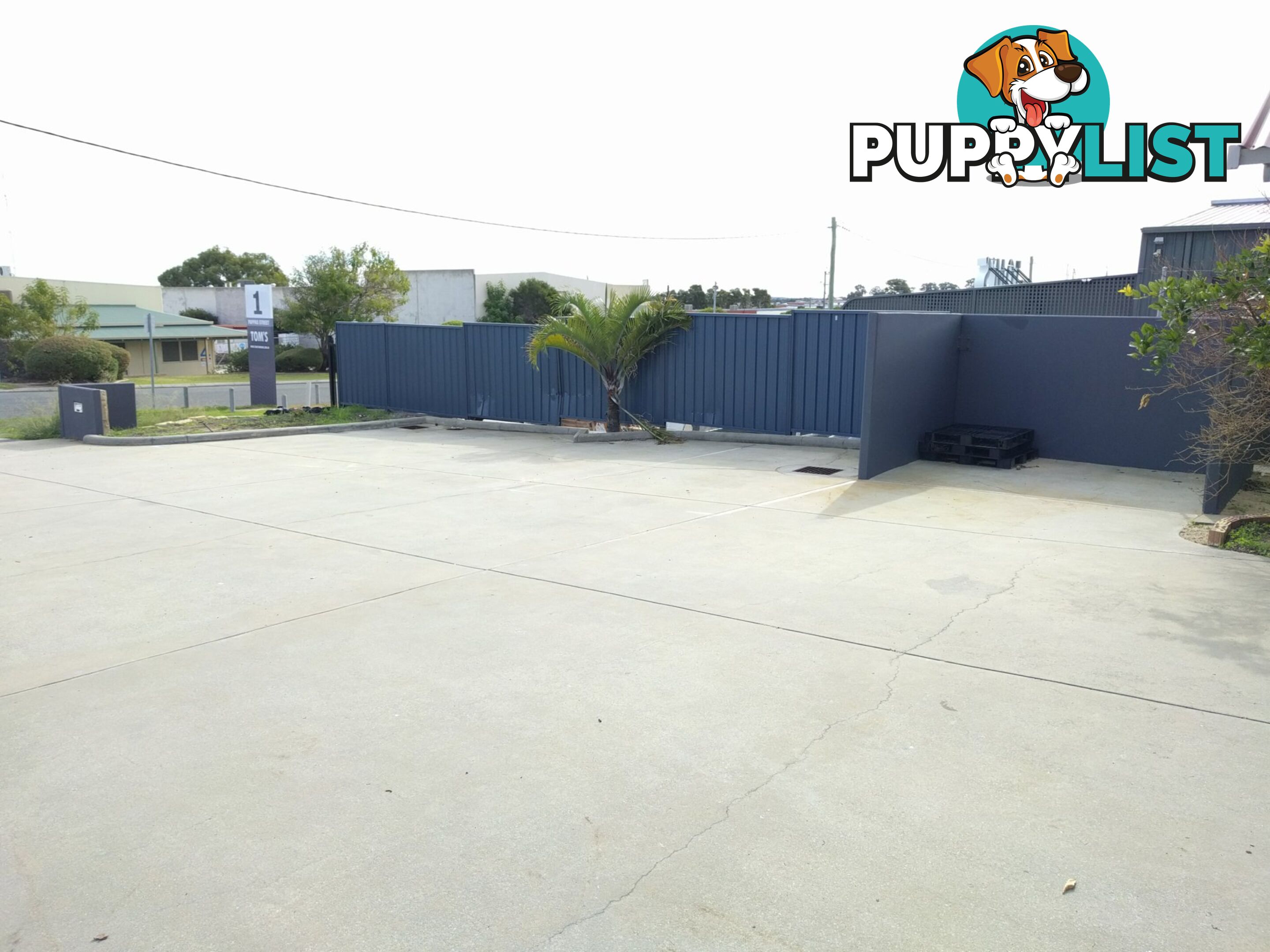 1/3 Pappas Street WANGARA WA 6065