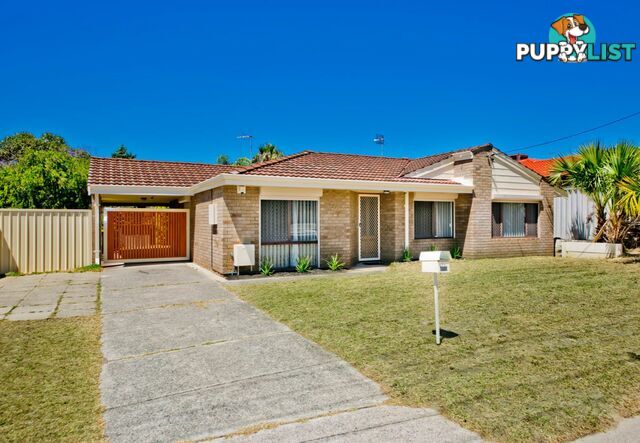 58 Gossamer Avenue MIRRABOOKA WA 6061