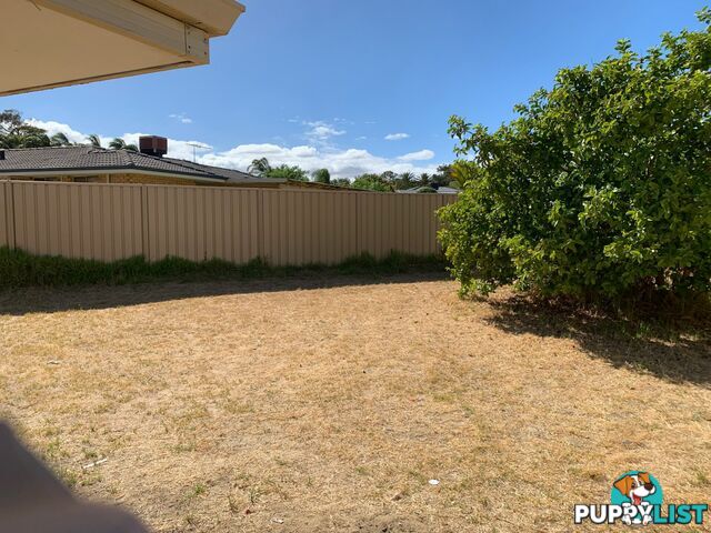 17b Sarre Place MARANGAROO WA 6064