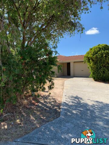 17b Sarre Place MARANGAROO WA 6064