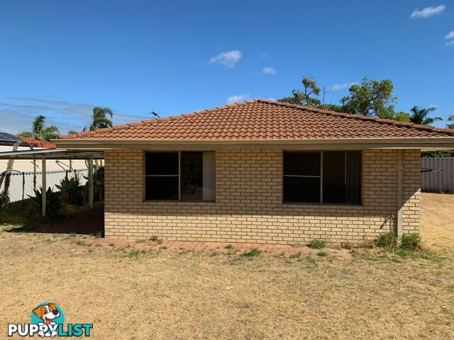 17b Sarre Place MARANGAROO WA 6064