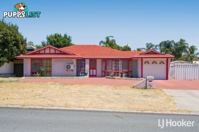 28 Williambury Drive YANGEBUP WA 6164