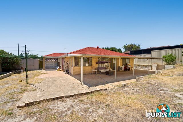 28 Williambury Drive YANGEBUP WA 6164