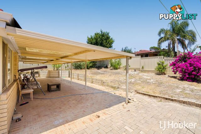 28 Williambury Drive YANGEBUP WA 6164