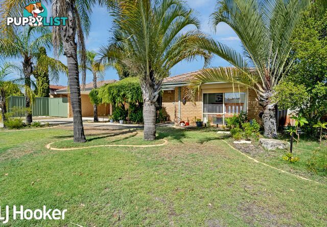 12 Gannet Trail BALLAJURA WA 6066