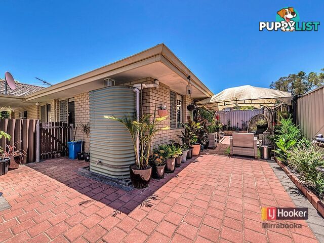 8/104 Waddington Cr KOONDOOLA WA 6064