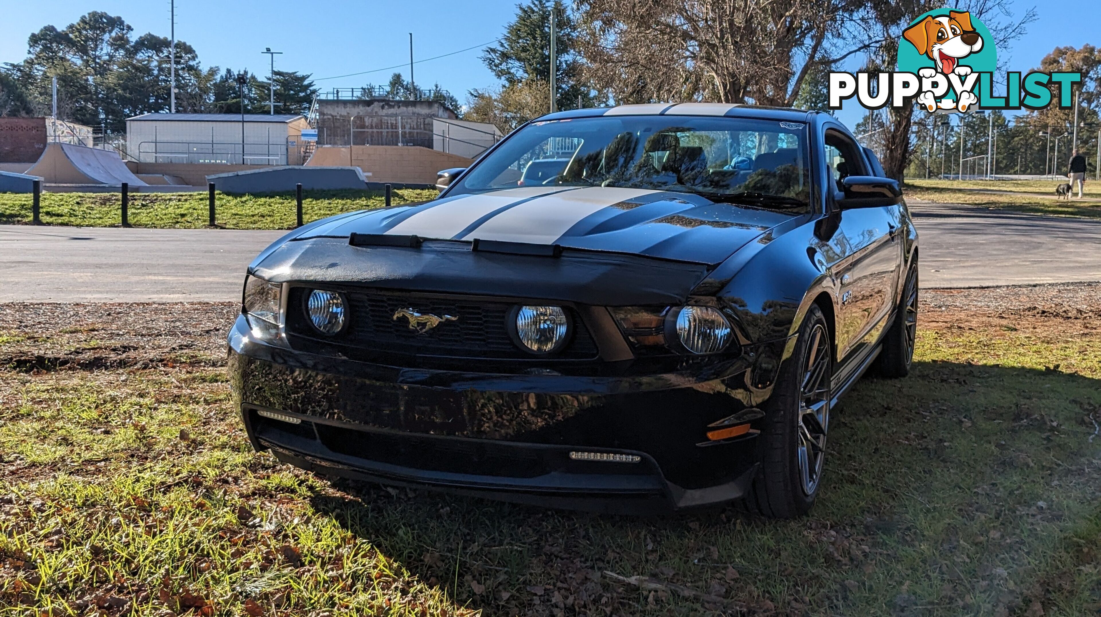 2011 Ford Mustang GT Premium Coupe Manual