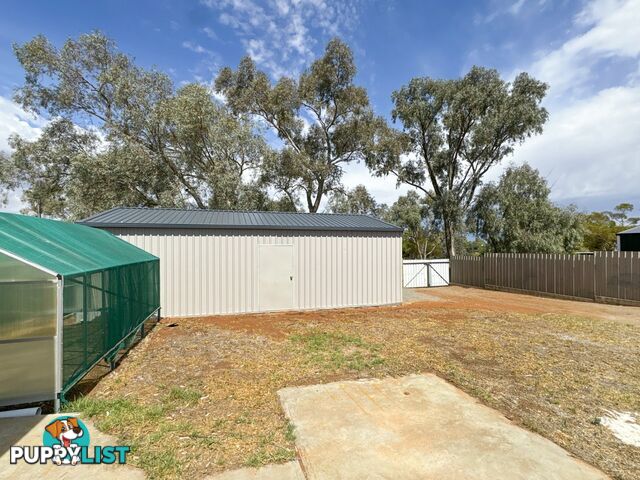 53 Queen Street BROKEN HILL NSW 2880