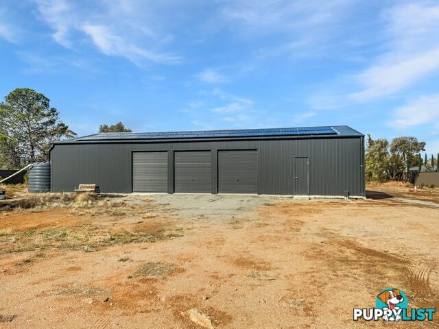 635 Wolfram Lane BROKEN HILL NSW 2880