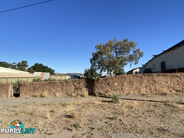 63 Cobalt Street BROKEN HILL NSW 2880