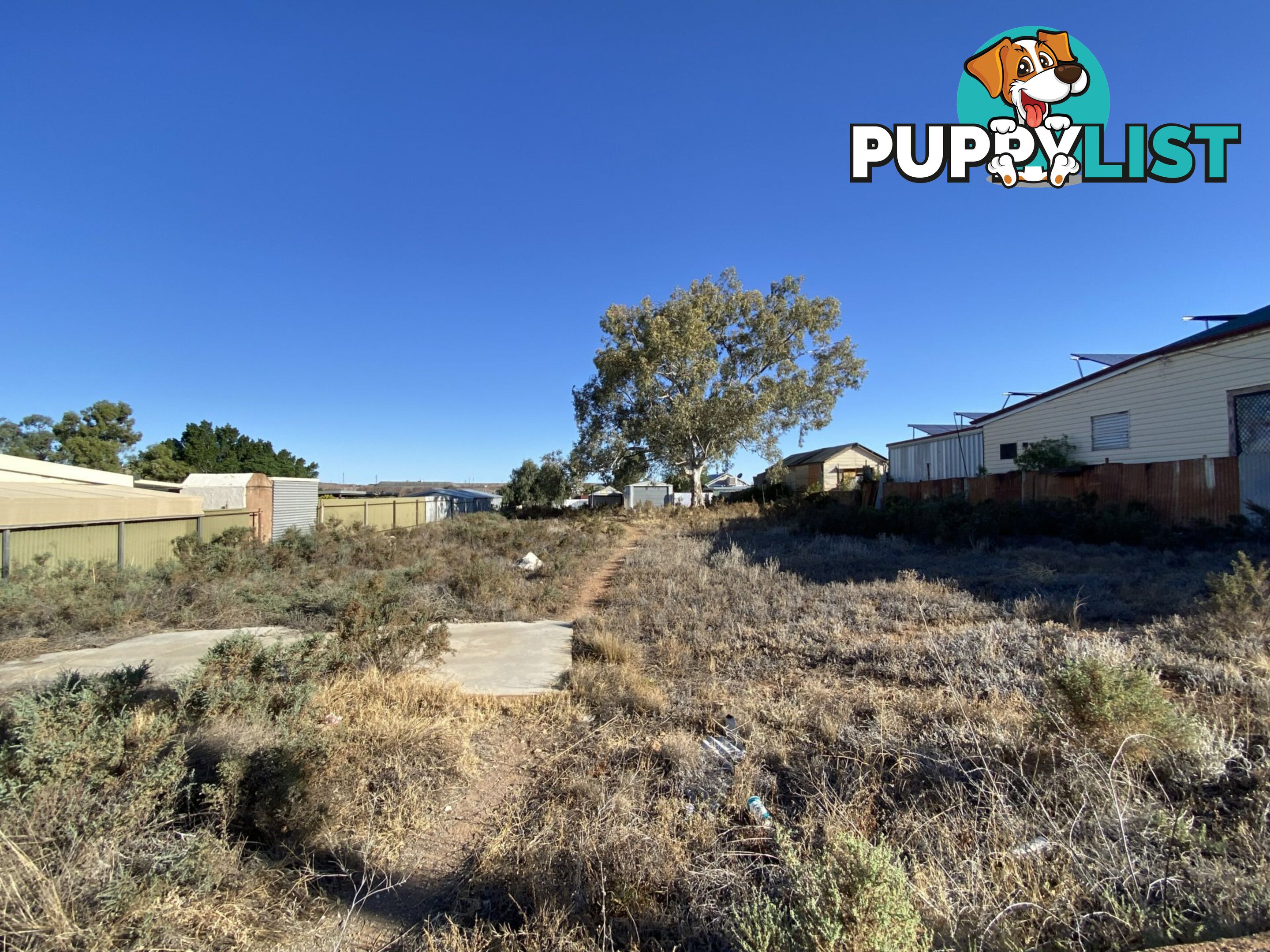 63 Cobalt Street BROKEN HILL NSW 2880