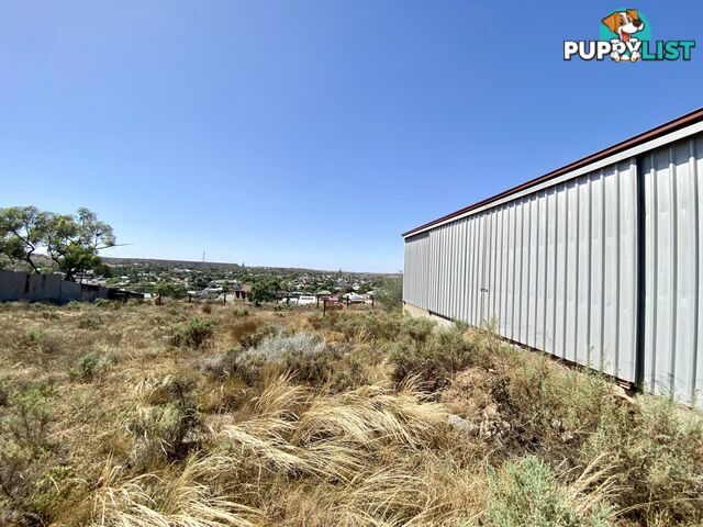 129 Lunam Street BROKEN HILL NSW 2880