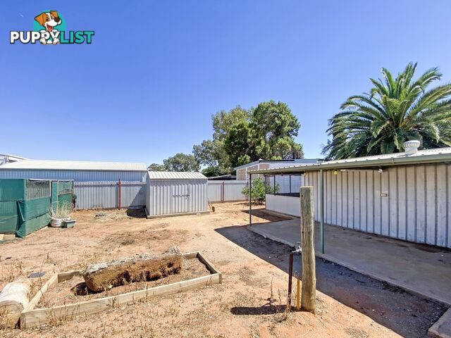 124 Newton Lane BROKEN HILL NSW 2880