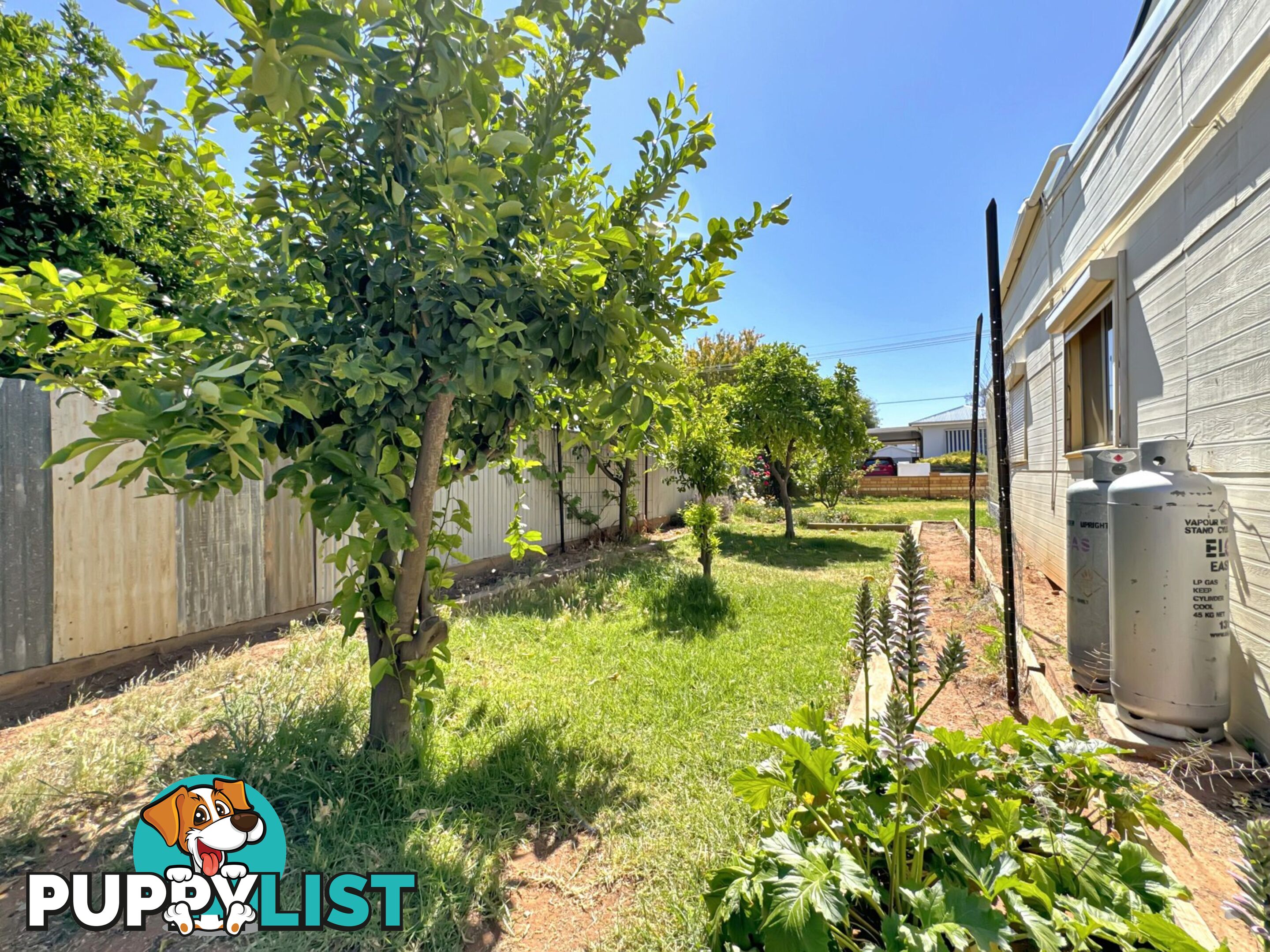 677 Chapple Lane BROKEN HILL NSW 2880