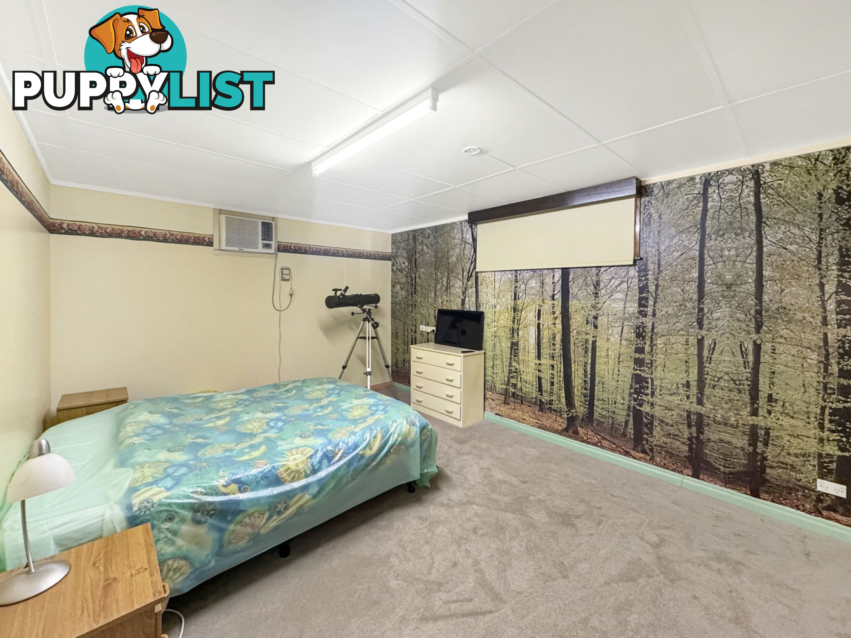 415 Morgan Street BROKEN HILL NSW 2880