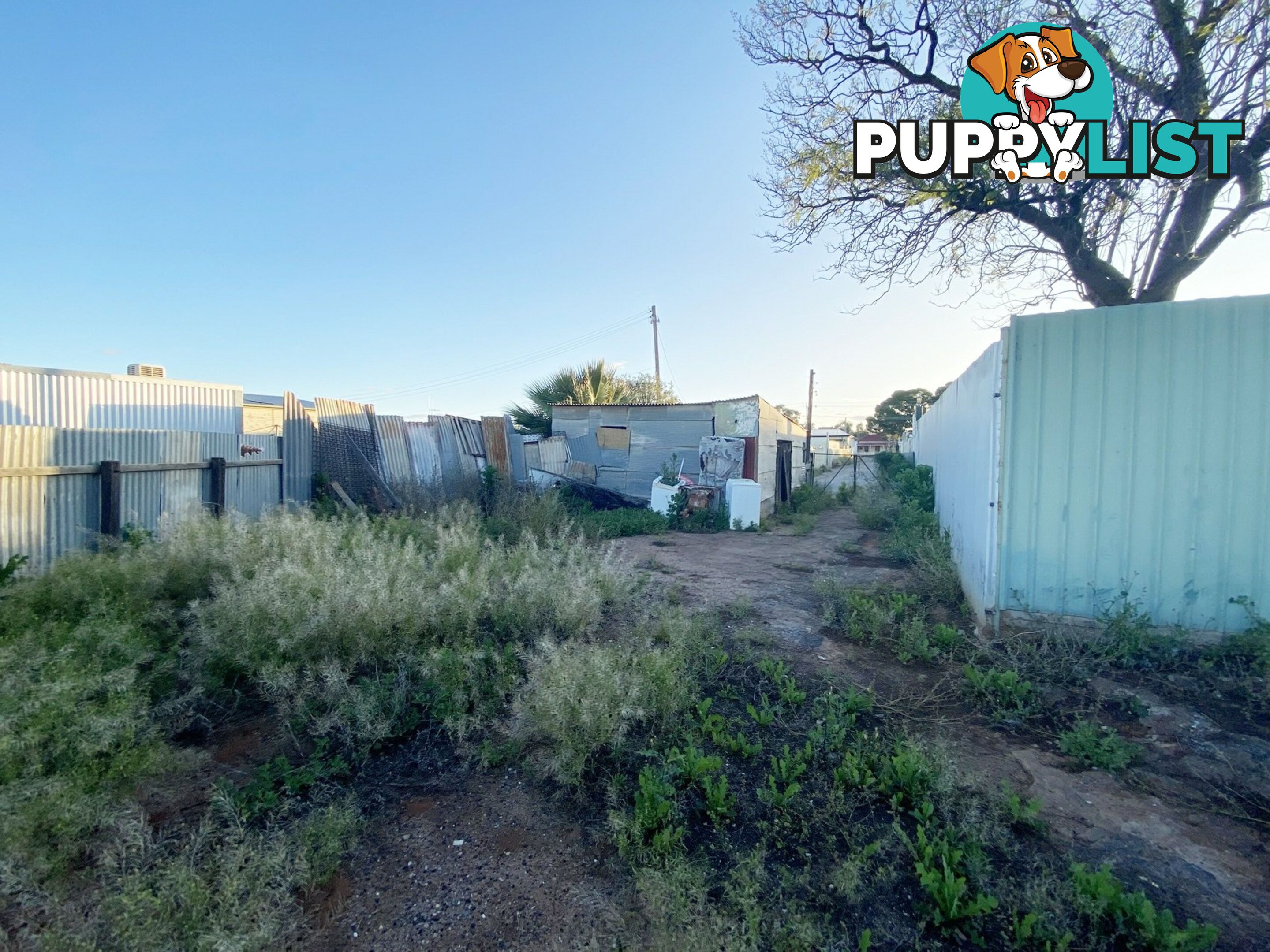 469 Chapple Street BROKEN HILL NSW 2880