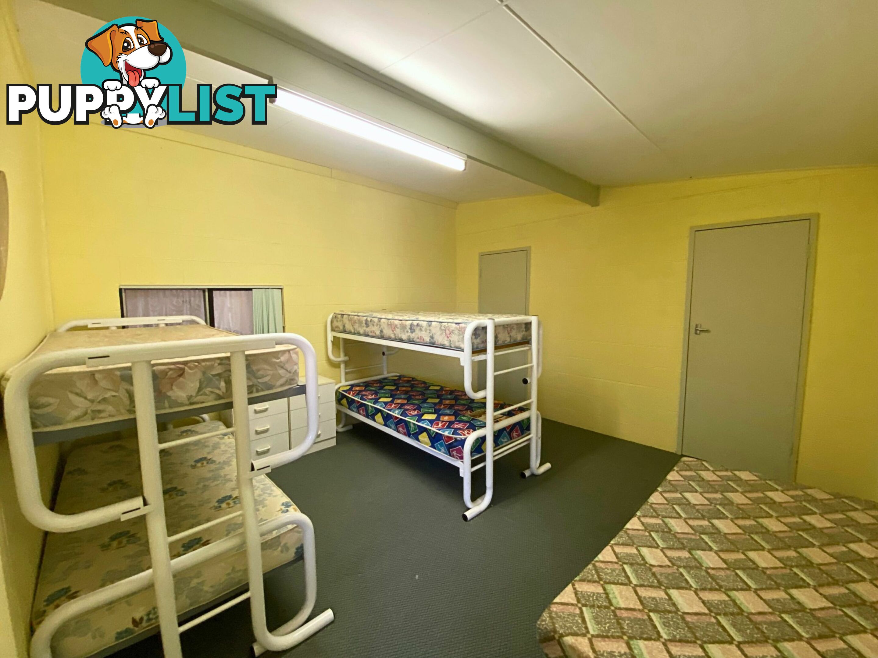 72 Lakeview Avenue SUNSET STRIP NSW 2879