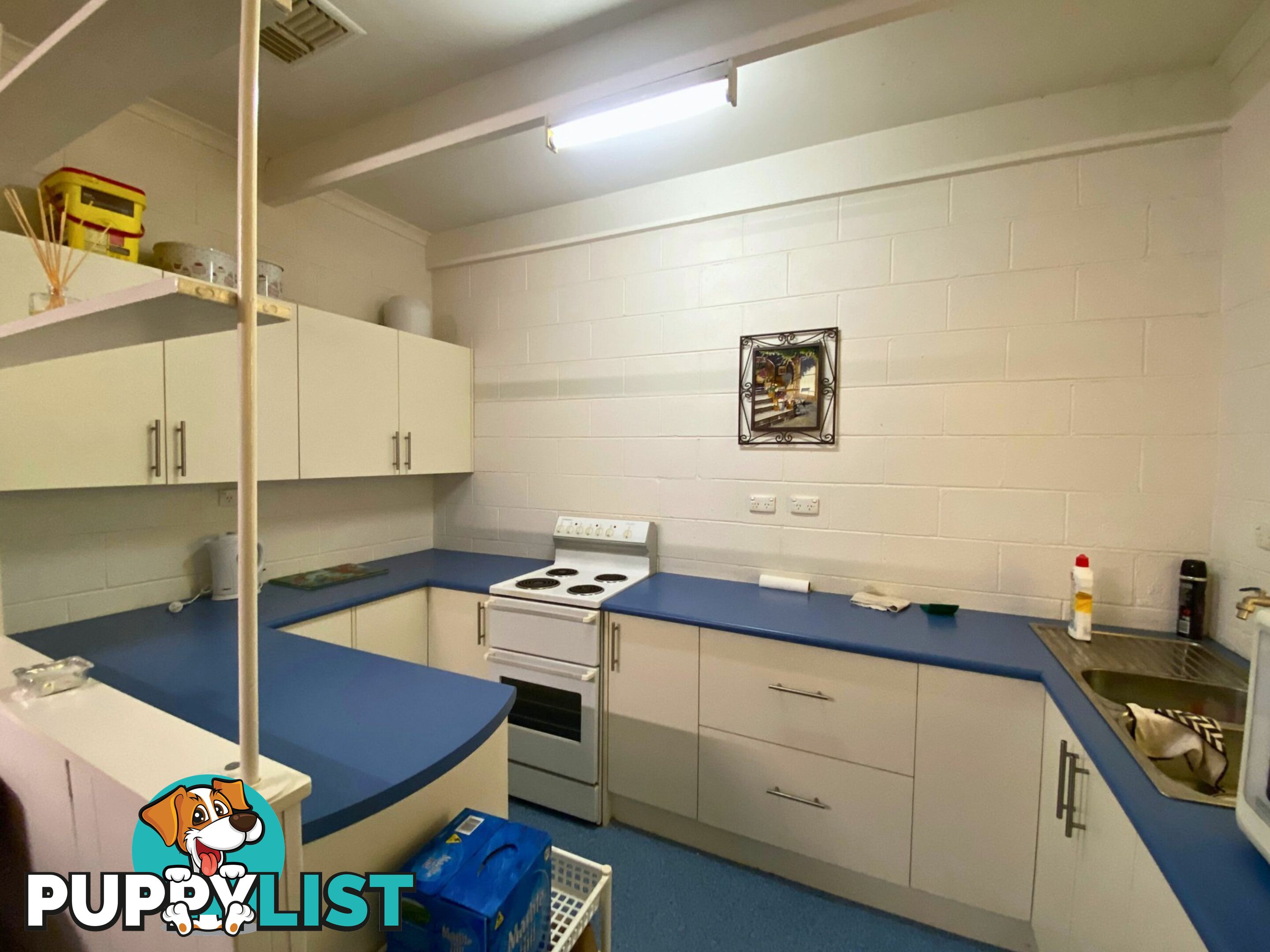 72 Lakeview Avenue SUNSET STRIP NSW 2879