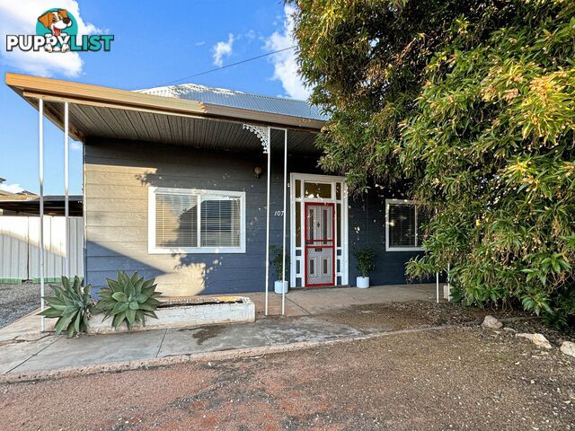 107 Ryan Lane BROKEN HILL NSW 2880