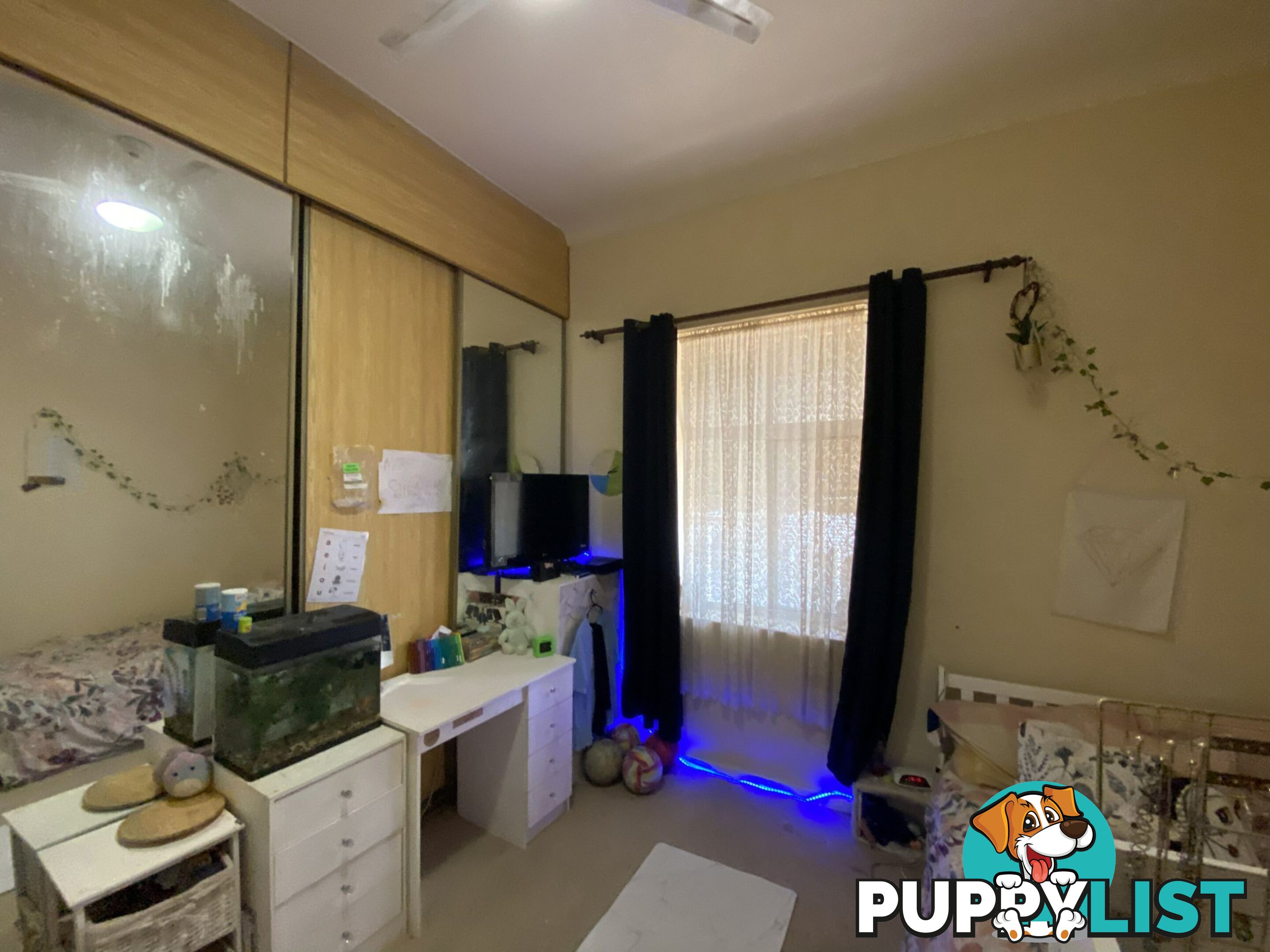 163 Newton Street BROKEN HILL NSW 2880