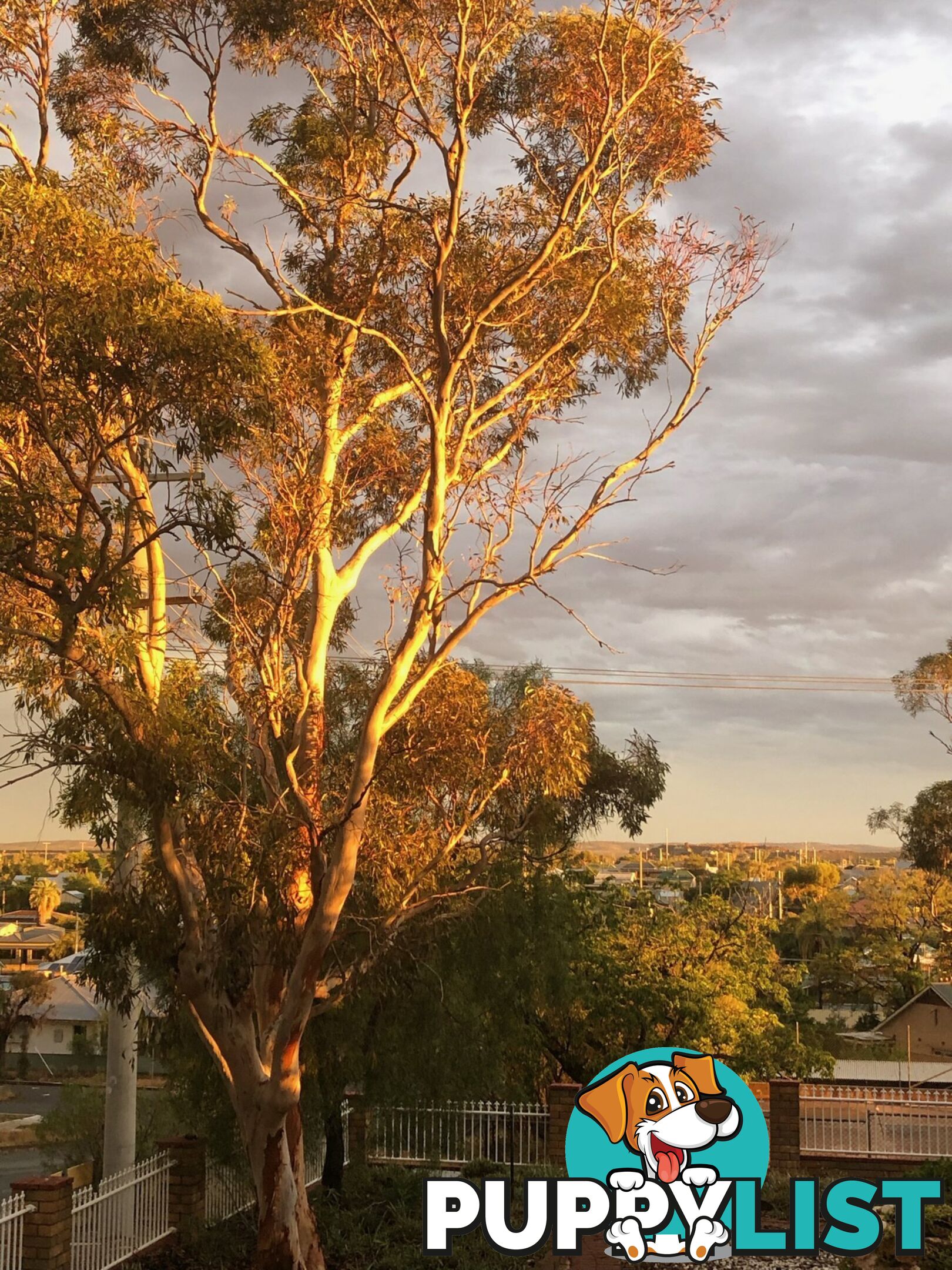 341 Zebina Street BROKEN HILL NSW 2880