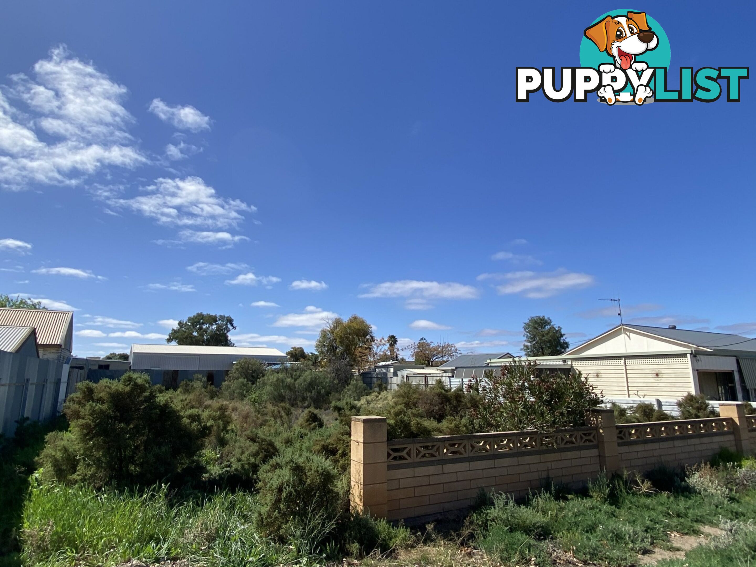 24 Creedon Street BROKEN HILL NSW 2880