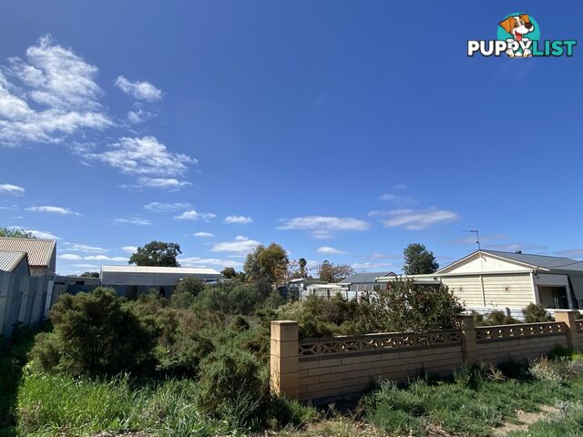 24 Creedon Street BROKEN HILL NSW 2880